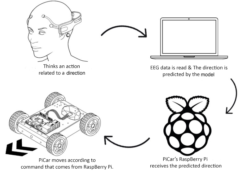 EEG